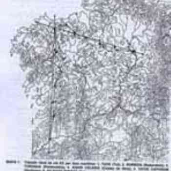 Click para ampliar. Pulsa en el nombre para ver la ficha. per loca maritima